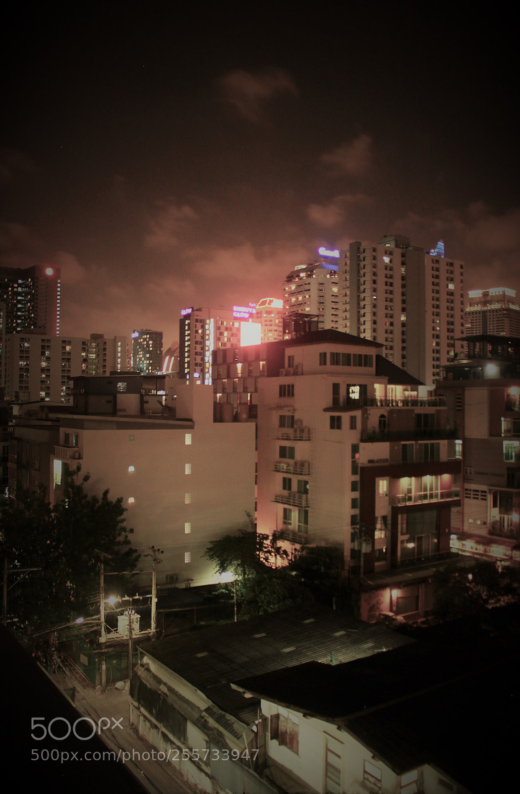 Canon EOS 500D (EOS Rebel T1i / EOS Kiss X3) sample photo. () photography