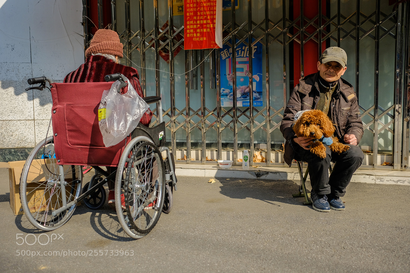 Fujifilm X-Pro2 sample photo. Human and dog photography