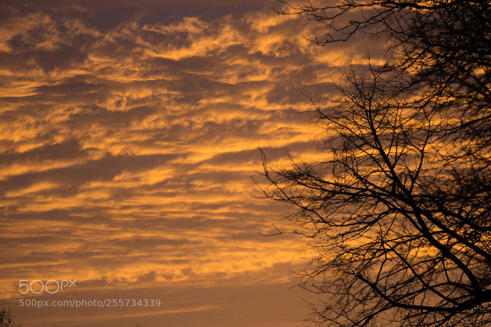 Sony a6000 sample photo. Sunrise photography