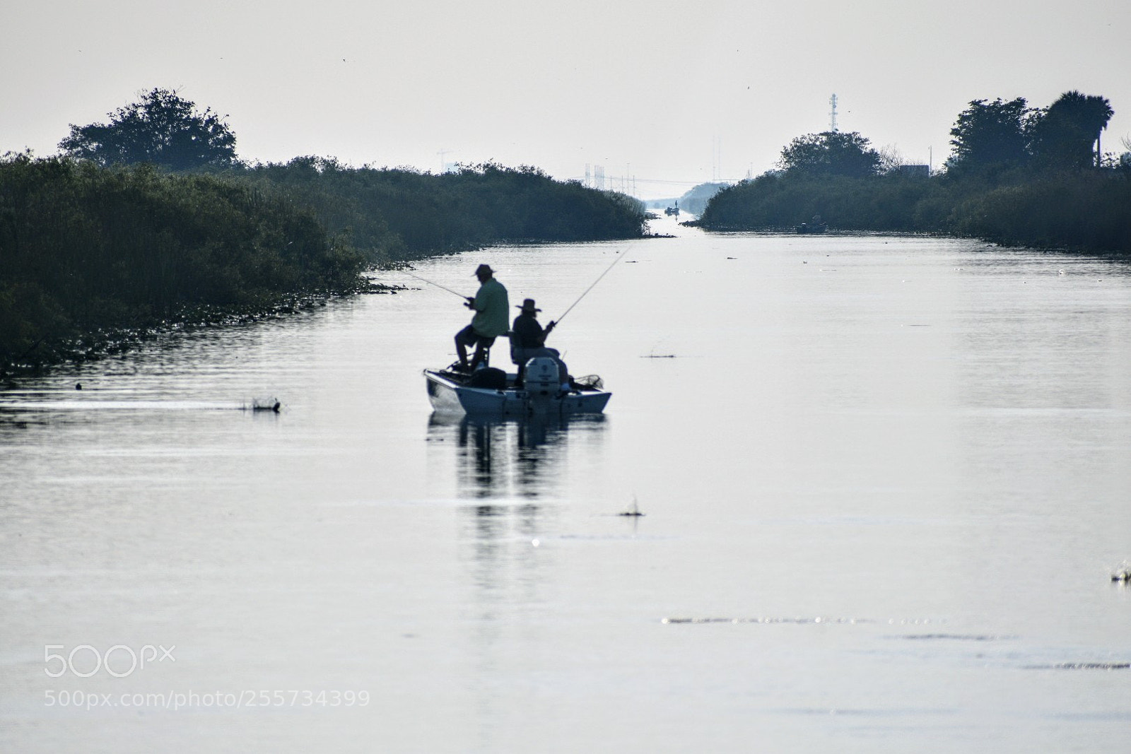 Nikon D3400 sample photo. Everglades fishing photography