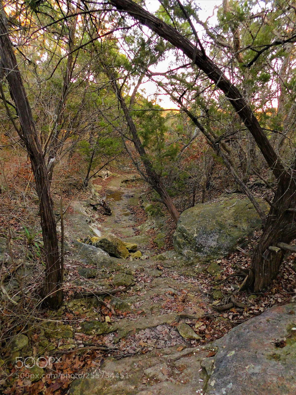 Nikon Coolpix B500 sample photo. () photography