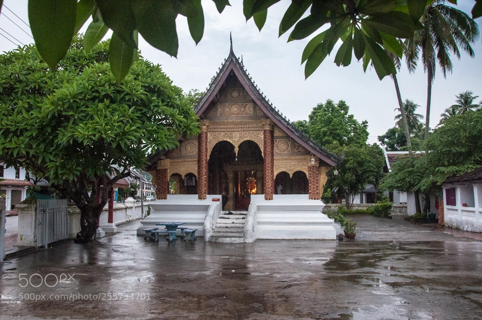 Nikon D90 sample photo. Temple in rain photography