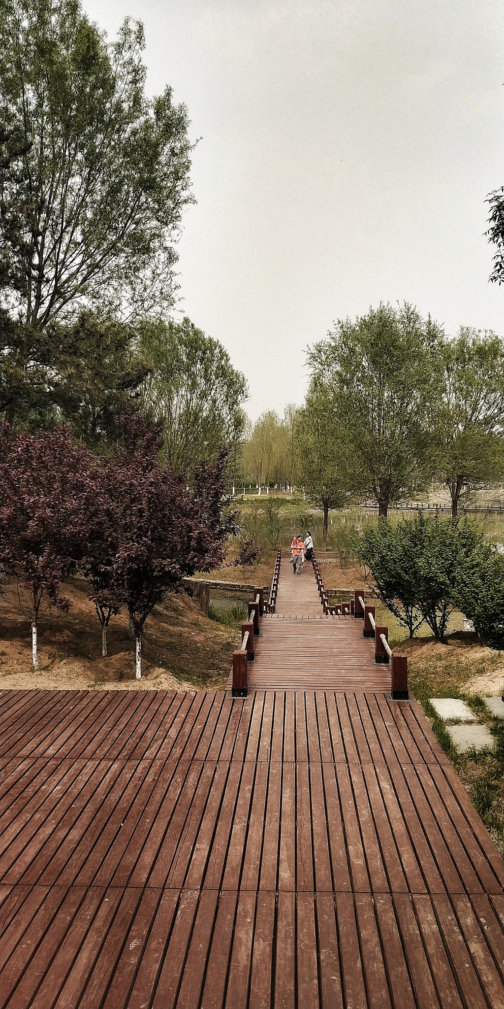 Xiaomi MIX 2 sample photo. 9 photography