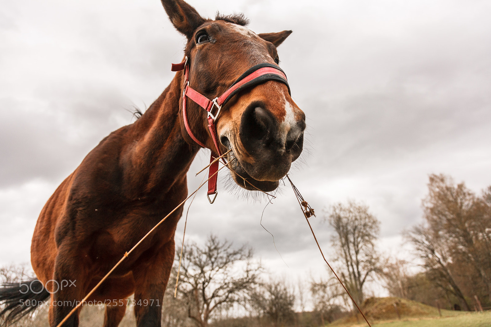 Canon EOS-1Ds Mark III sample photo. Holes photography