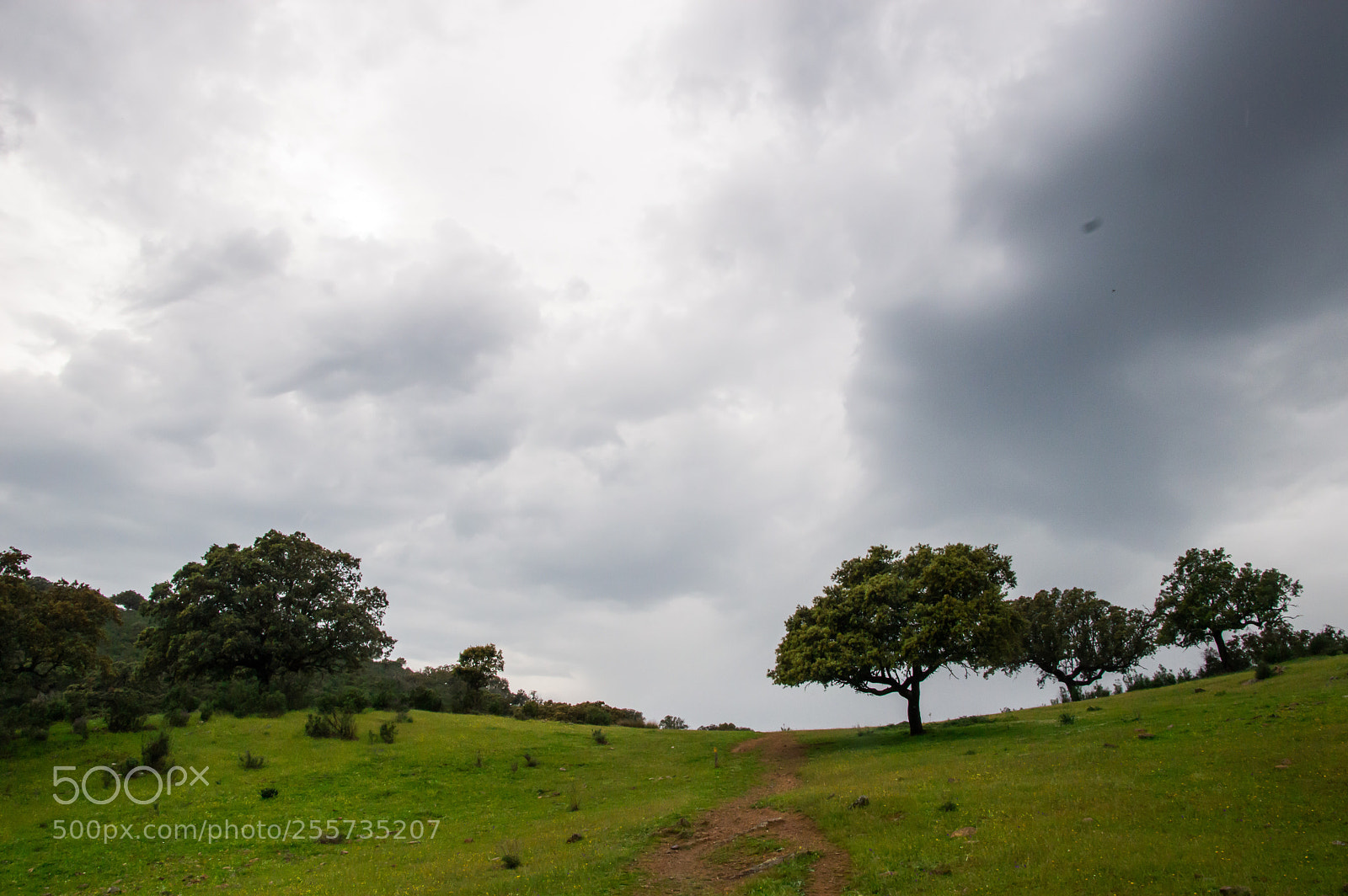 Nikon D3200 sample photo. Extremadura photography