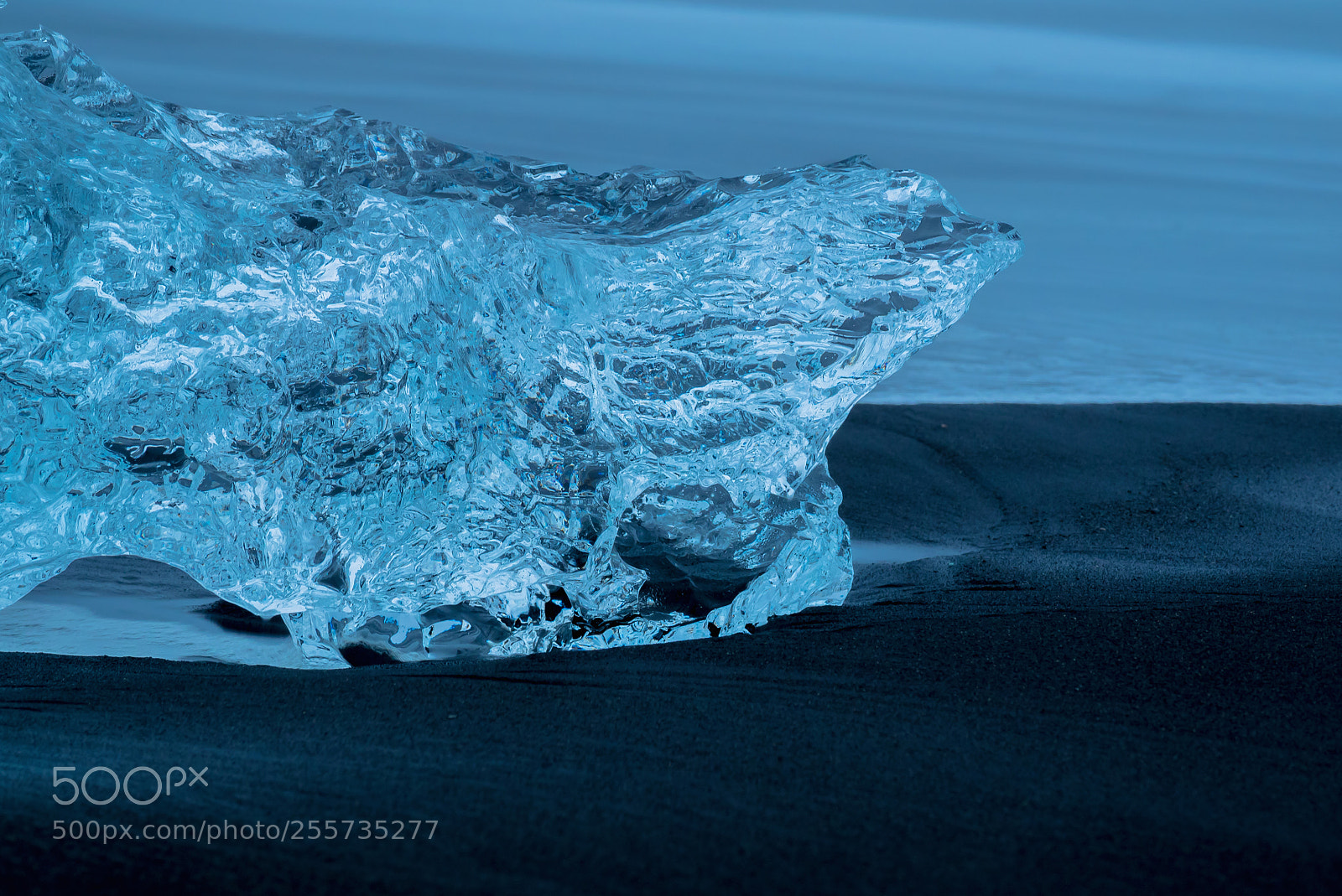 Olympus OM-D E-M1 sample photo. Dog contour in ice photography