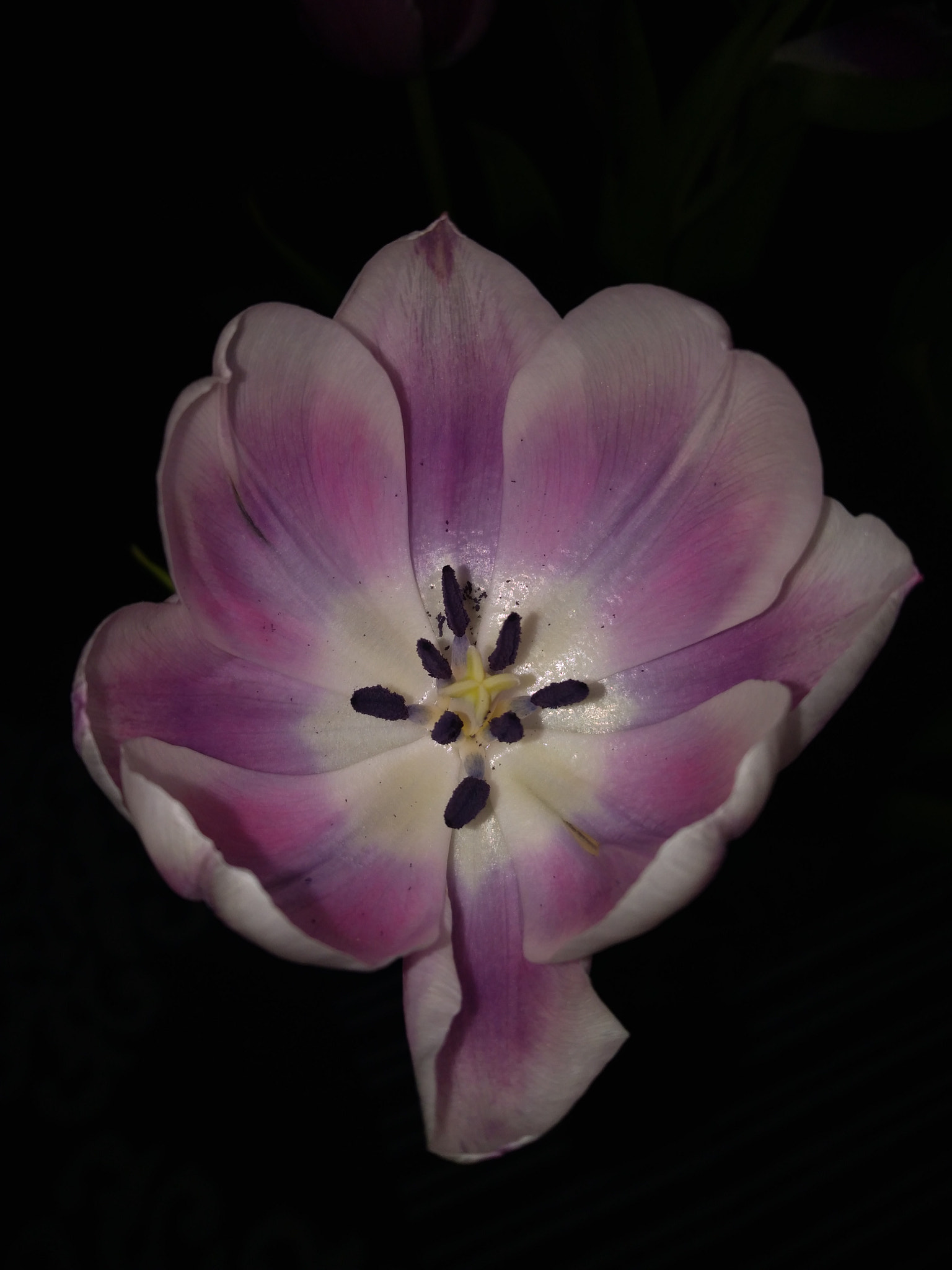 HUAWEI P9 LITE MINI sample photo