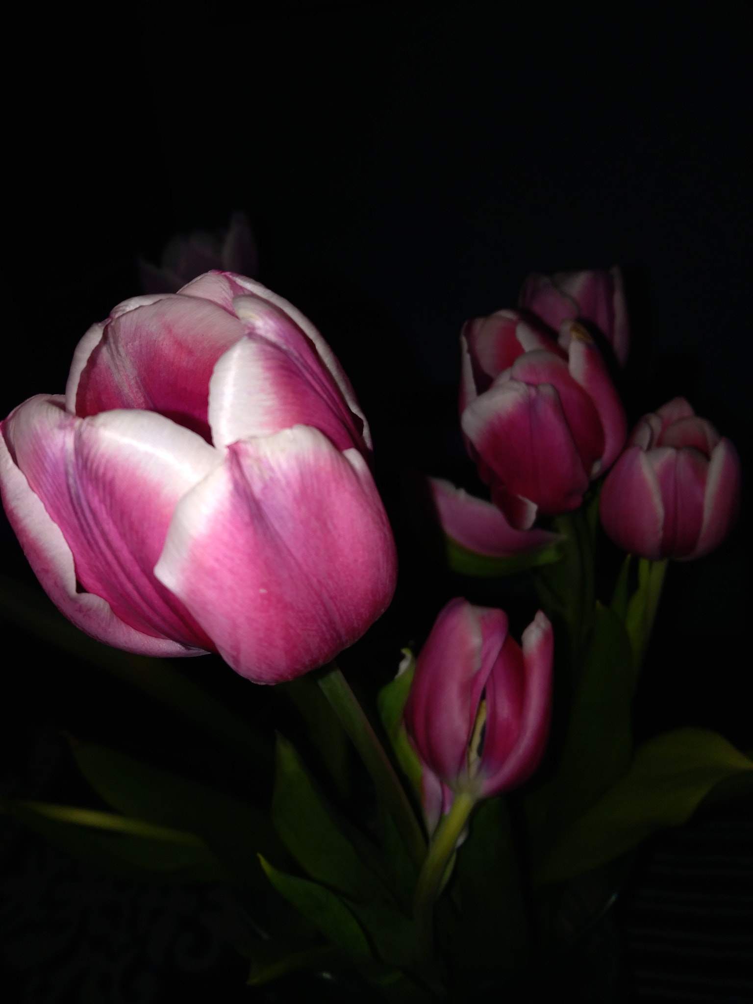 HUAWEI P9 LITE MINI sample photo