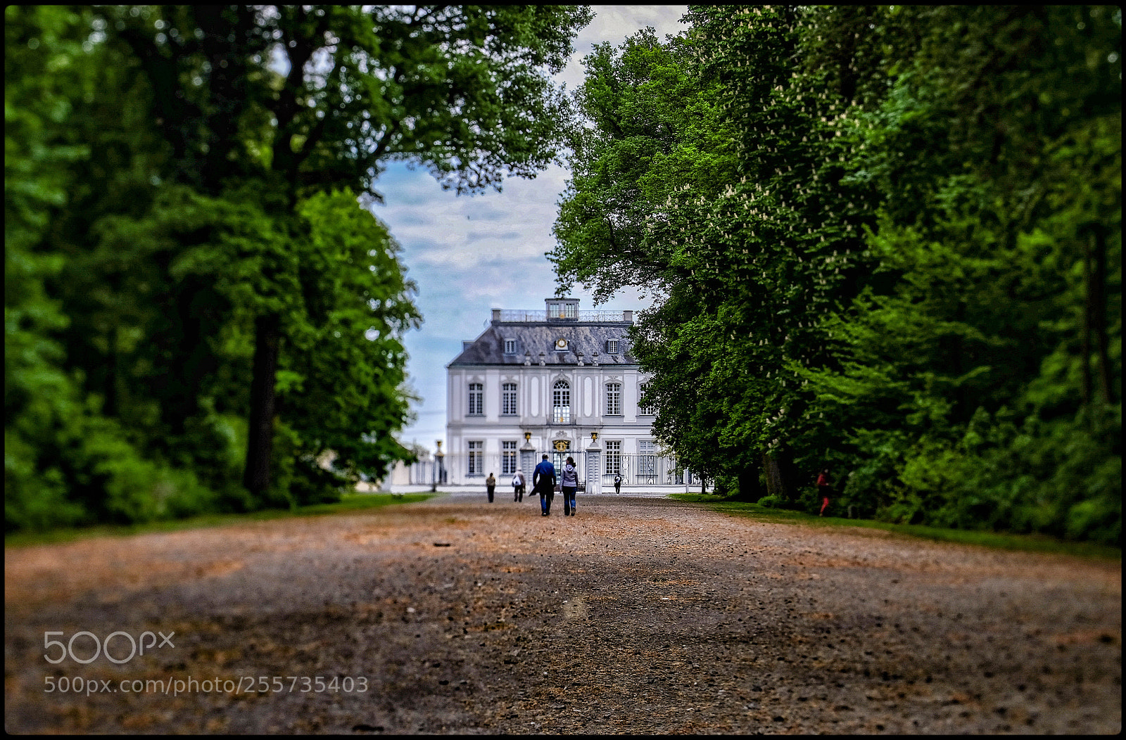 Fujifilm X-T1 sample photo. Walk to the castle photography
