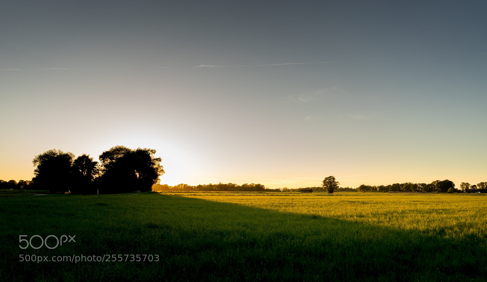 Sony a7 II sample photo. Lachsgang sunset stroll photography