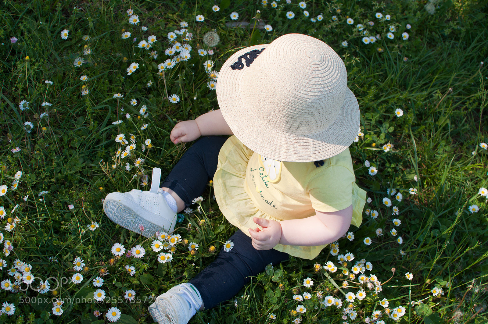 Nikon D5000 sample photo. Un amore di primavera photography