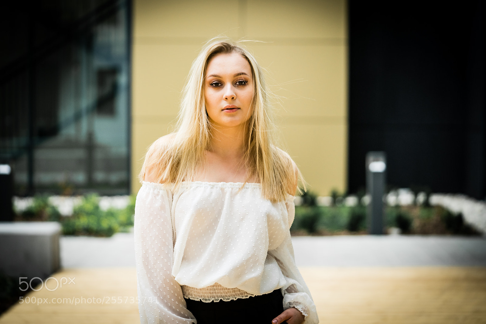 Sony a7 II sample photo. Broňa photography