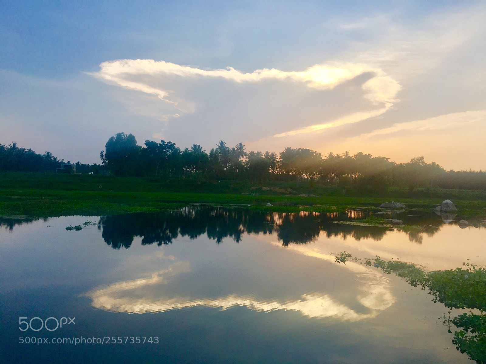 Apple iPhone 6s sample photo. Double heart photography