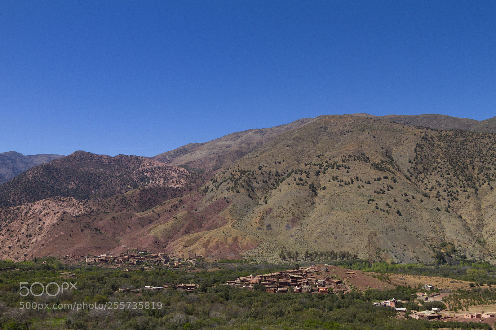 Canon EOS 7D sample photo. 2018-3815.jpg photography