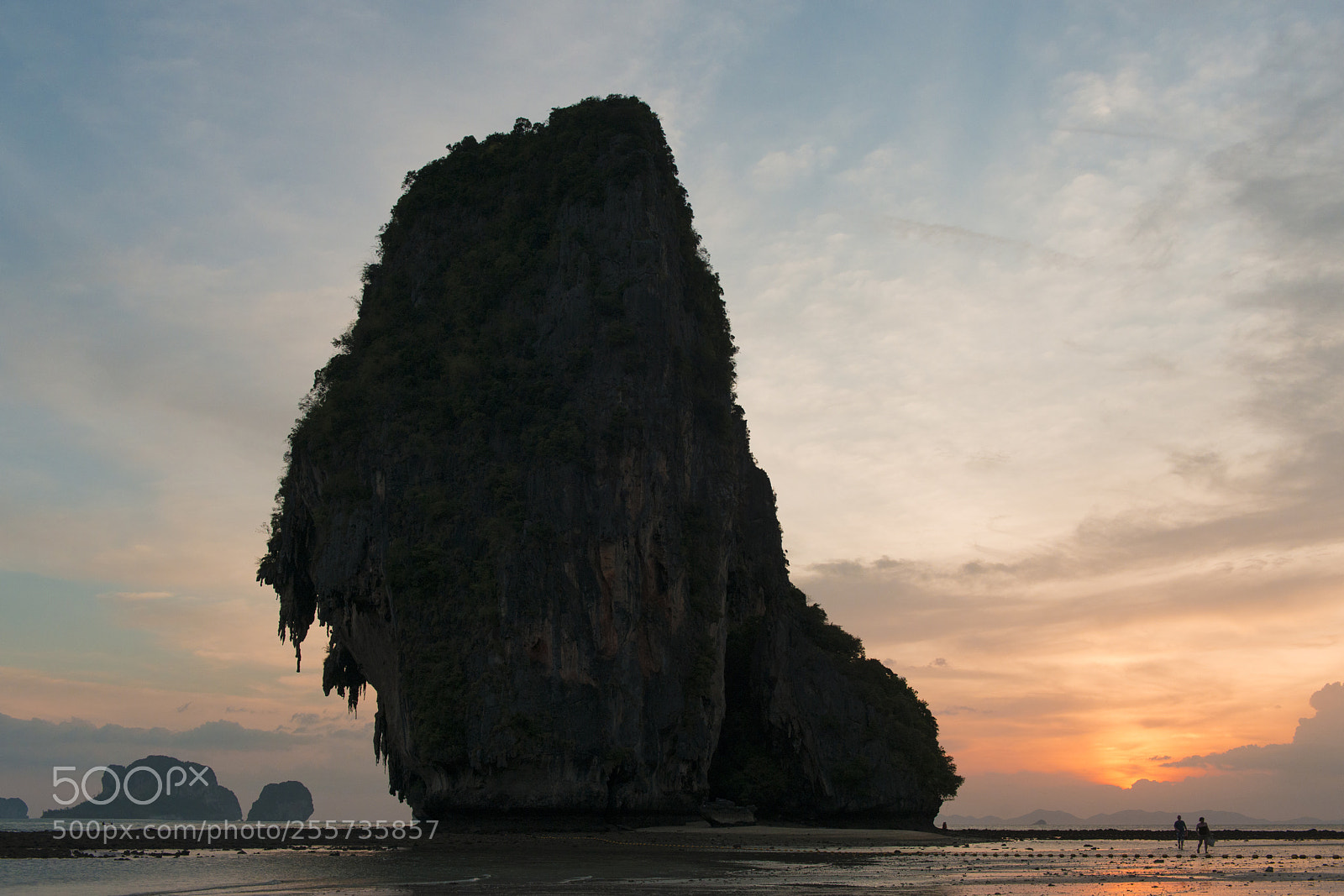 Nikon D800 sample photo. - photography