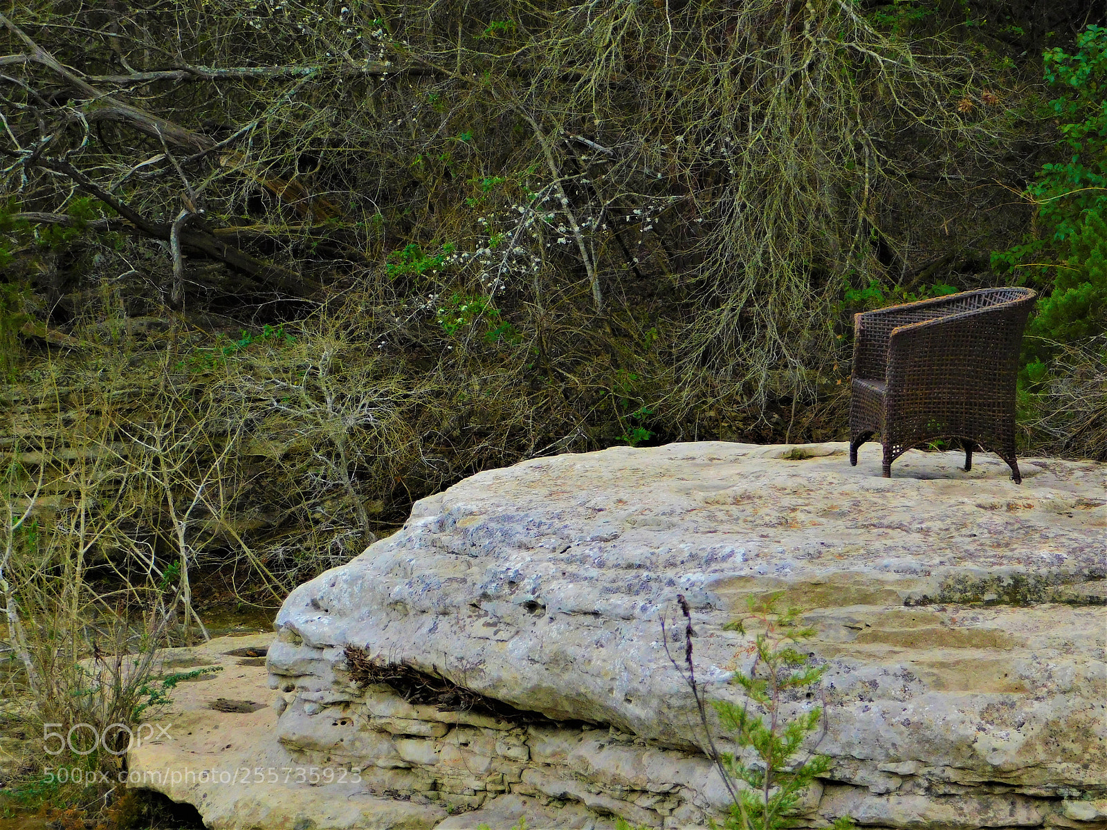 Nikon Coolpix B500 sample photo. () photography