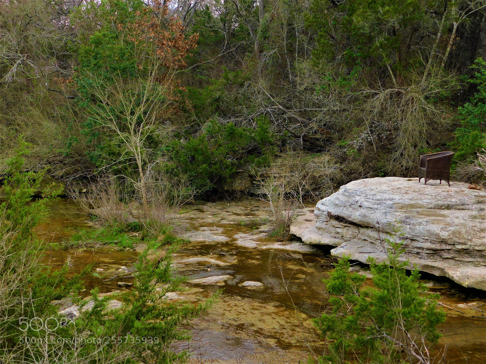 Nikon Coolpix B500 sample photo. () photography