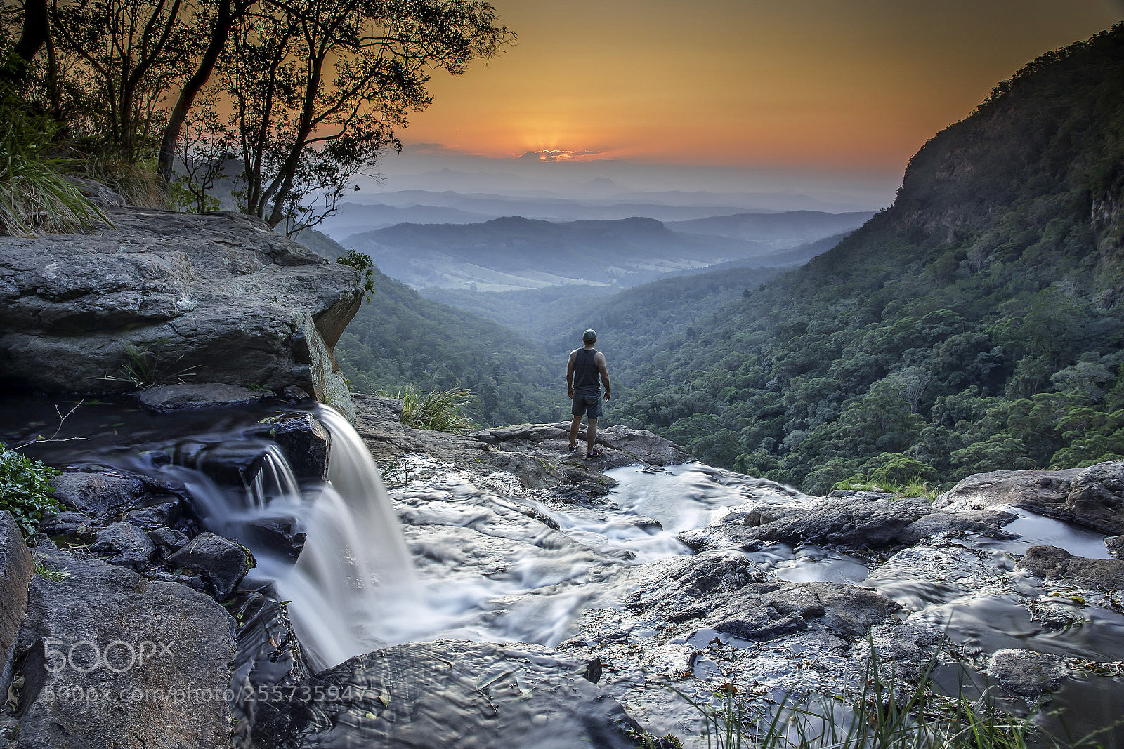 Canon EOS 5D Mark IV sample photo. Gondwana rainforest adventure photography