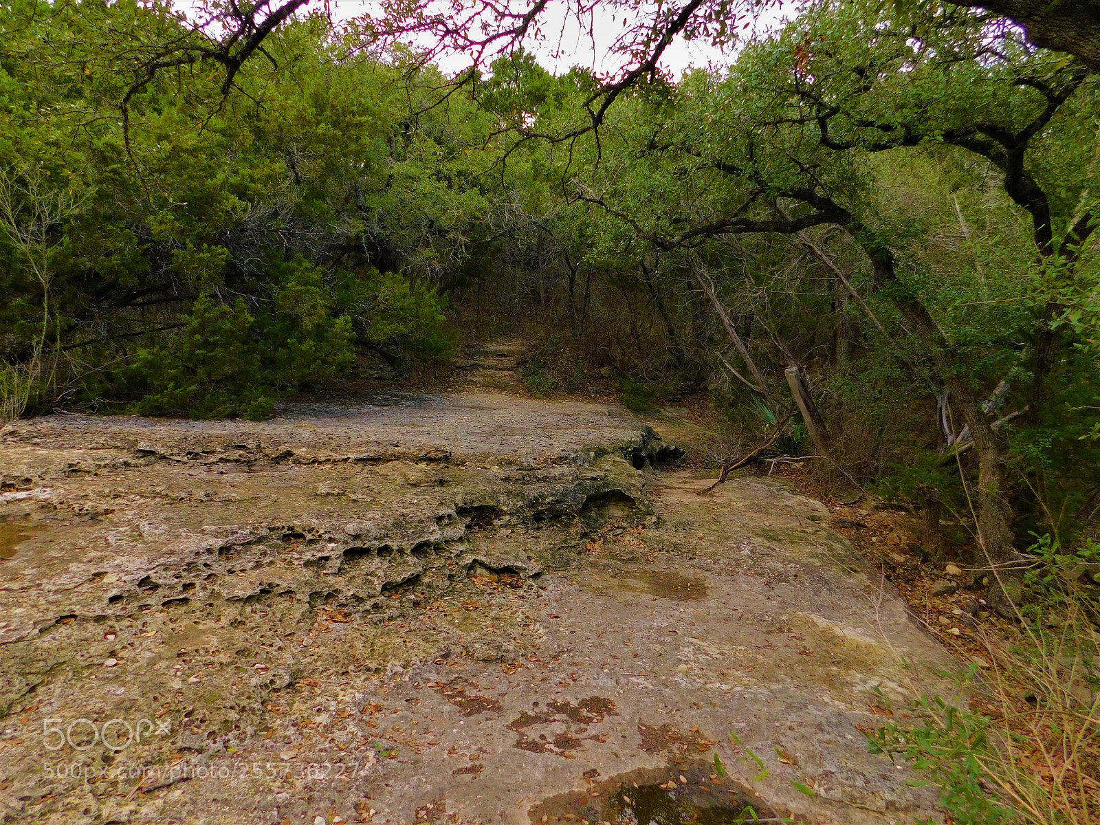 Nikon Coolpix B500 sample photo. () photography