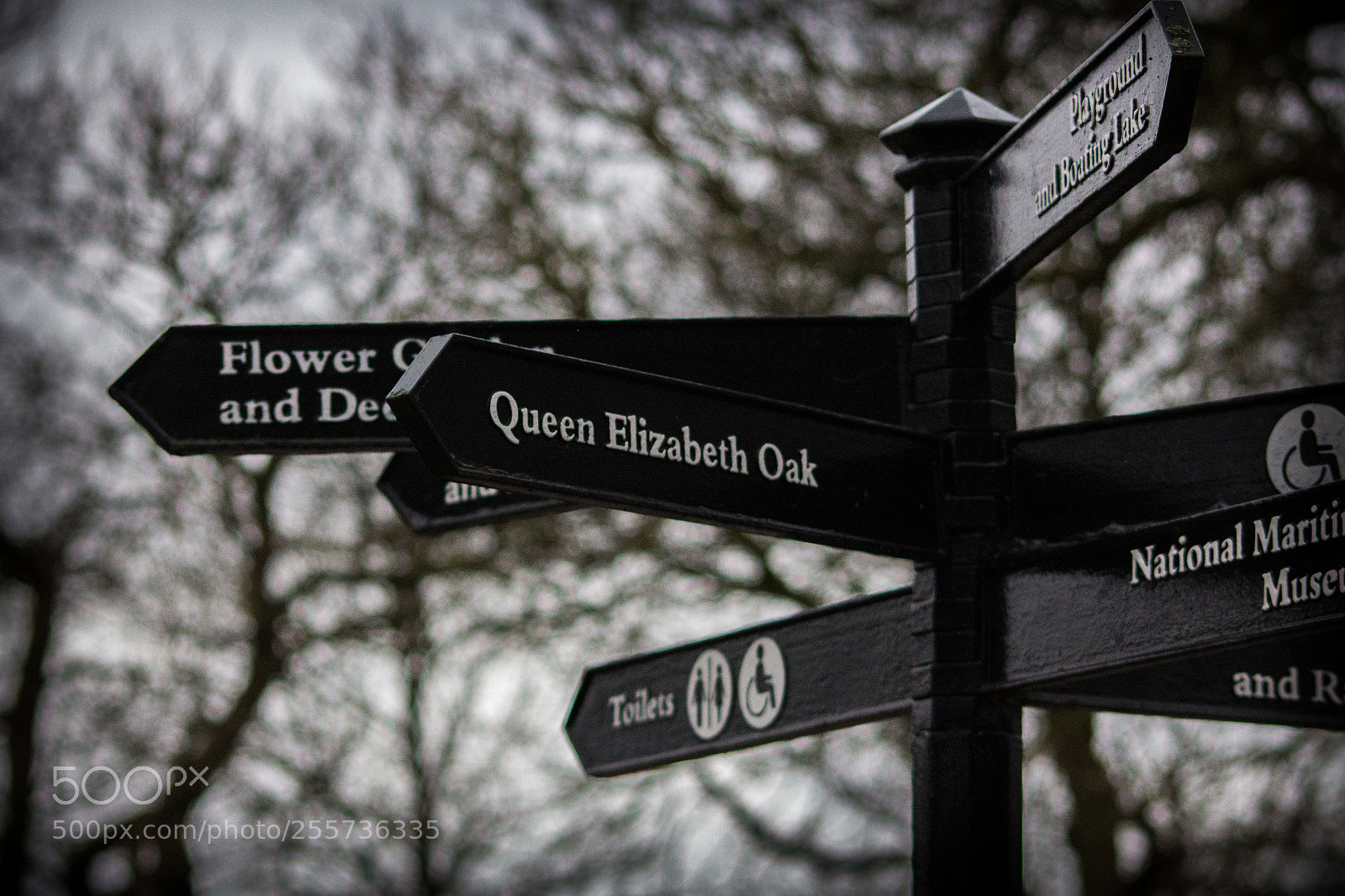 Canon EOS 700D (EOS Rebel T5i / EOS Kiss X7i) sample photo. Sign photography