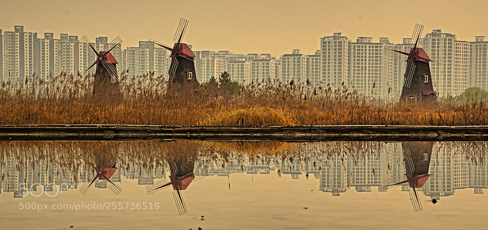 Nikon D500 sample photo. Reflection photography