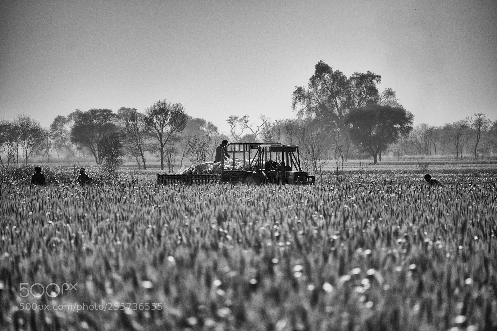 Canon EOS 70D sample photo. Rural photography