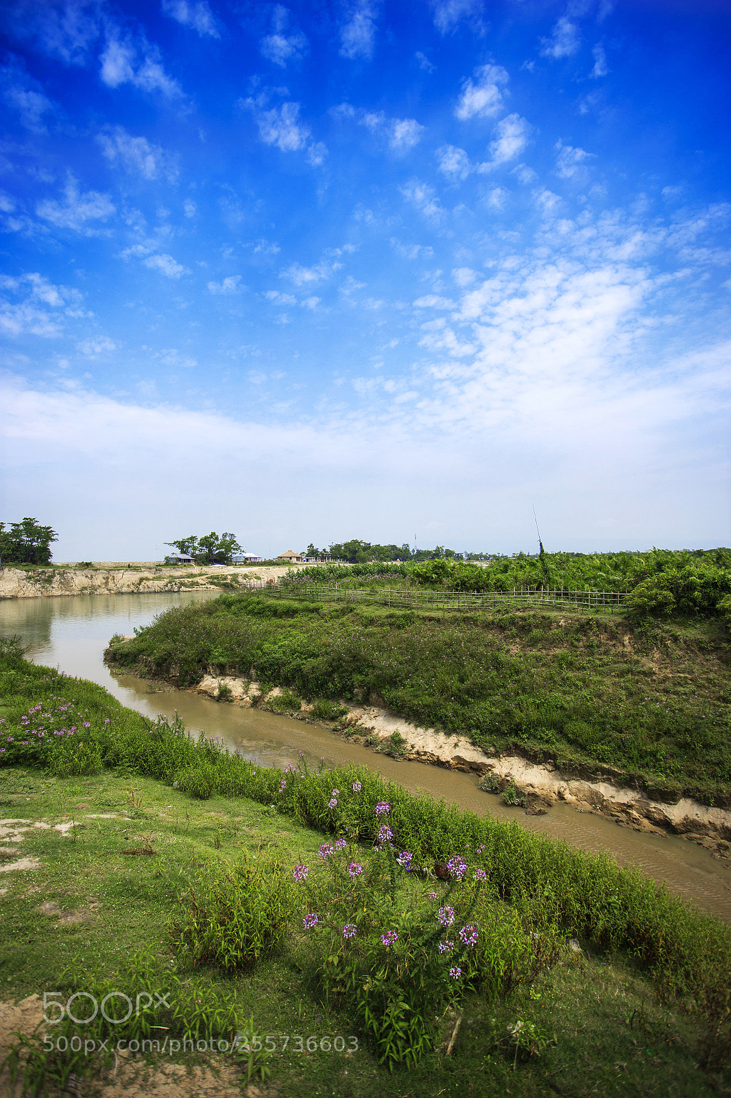 Canon EOS 6D sample photo. Gowain river, ratargul photography