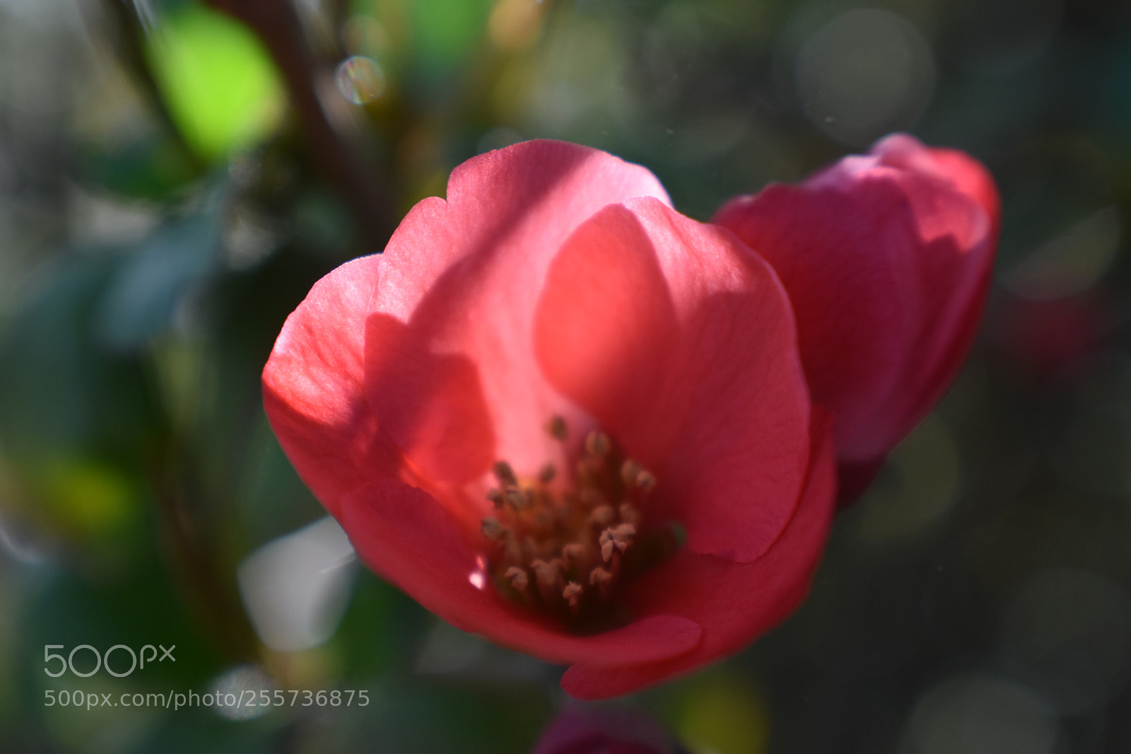 Nikon D3400 sample photo. () photography