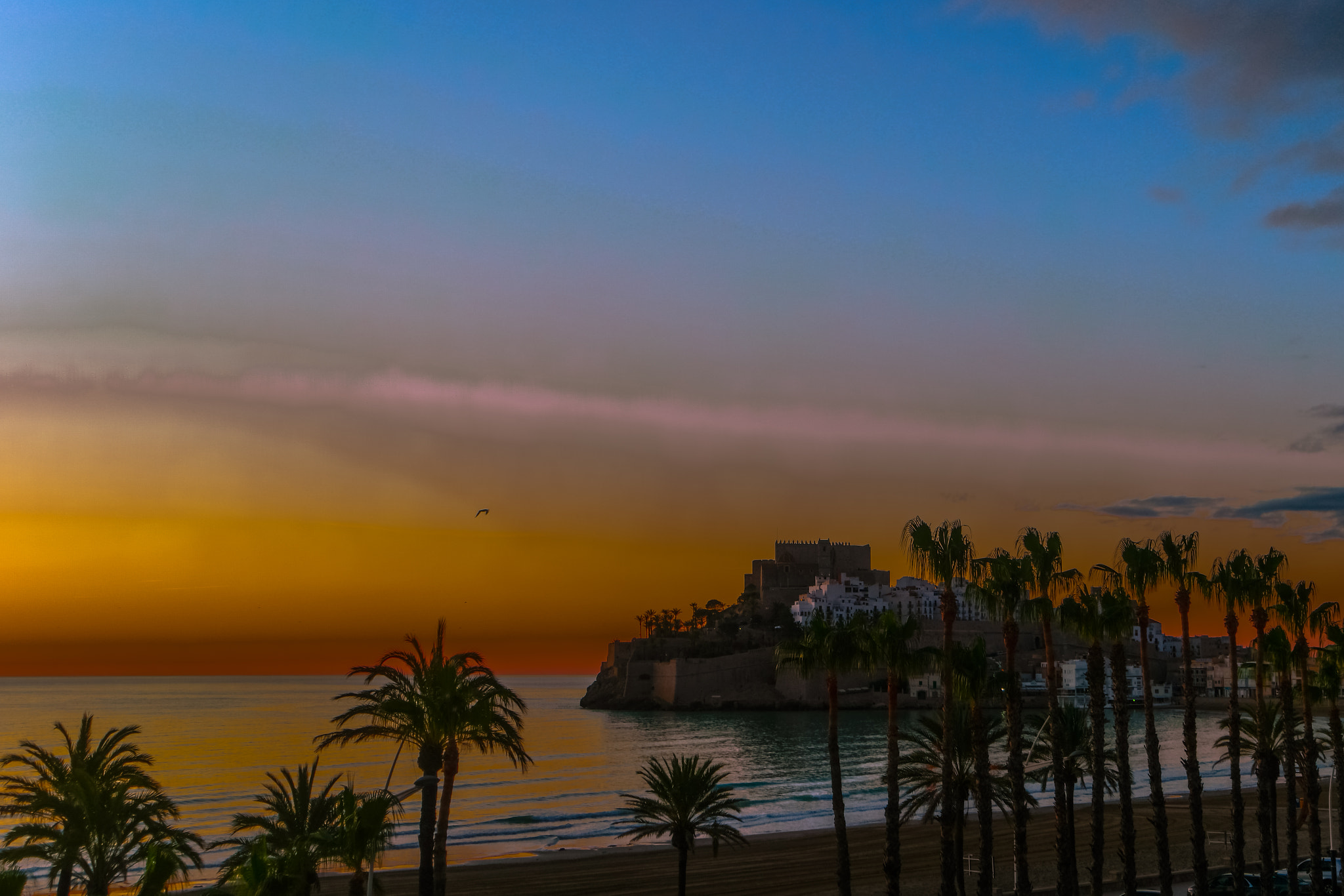 Samsung NX500 sample photo. Palm trees in spring photography