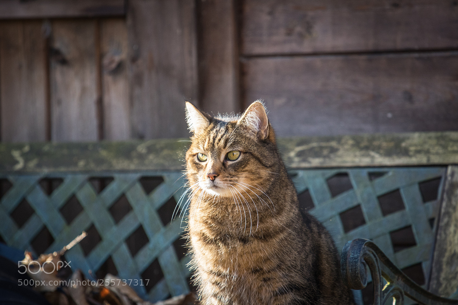 Canon EOS 7D Mark II sample photo. Radar3 photography
