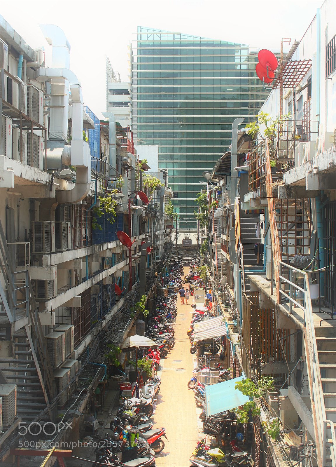 Canon EOS 500D (EOS Rebel T1i / EOS Kiss X3) sample photo. () photography