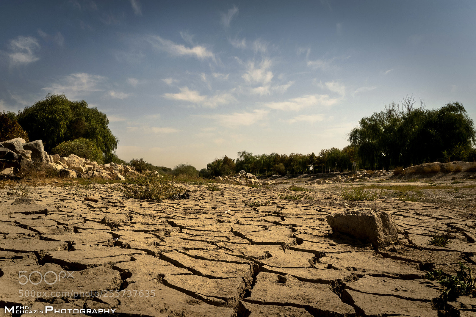Nikon D5300 sample photo. Zayandeh rood photography