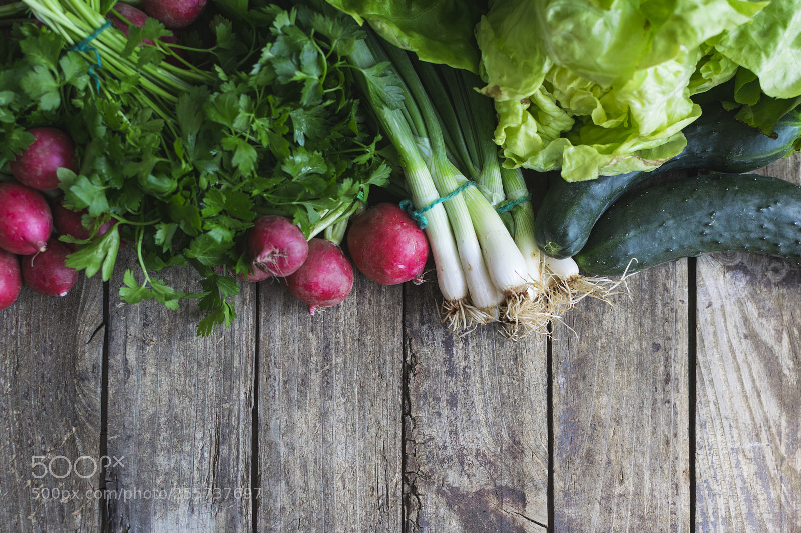 Nikon D3300 sample photo. Fresh, organic spring vegetables photography