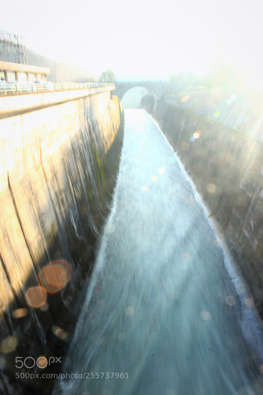 Canon EOS 500D (EOS Rebel T1i / EOS Kiss X3) sample photo. () photography