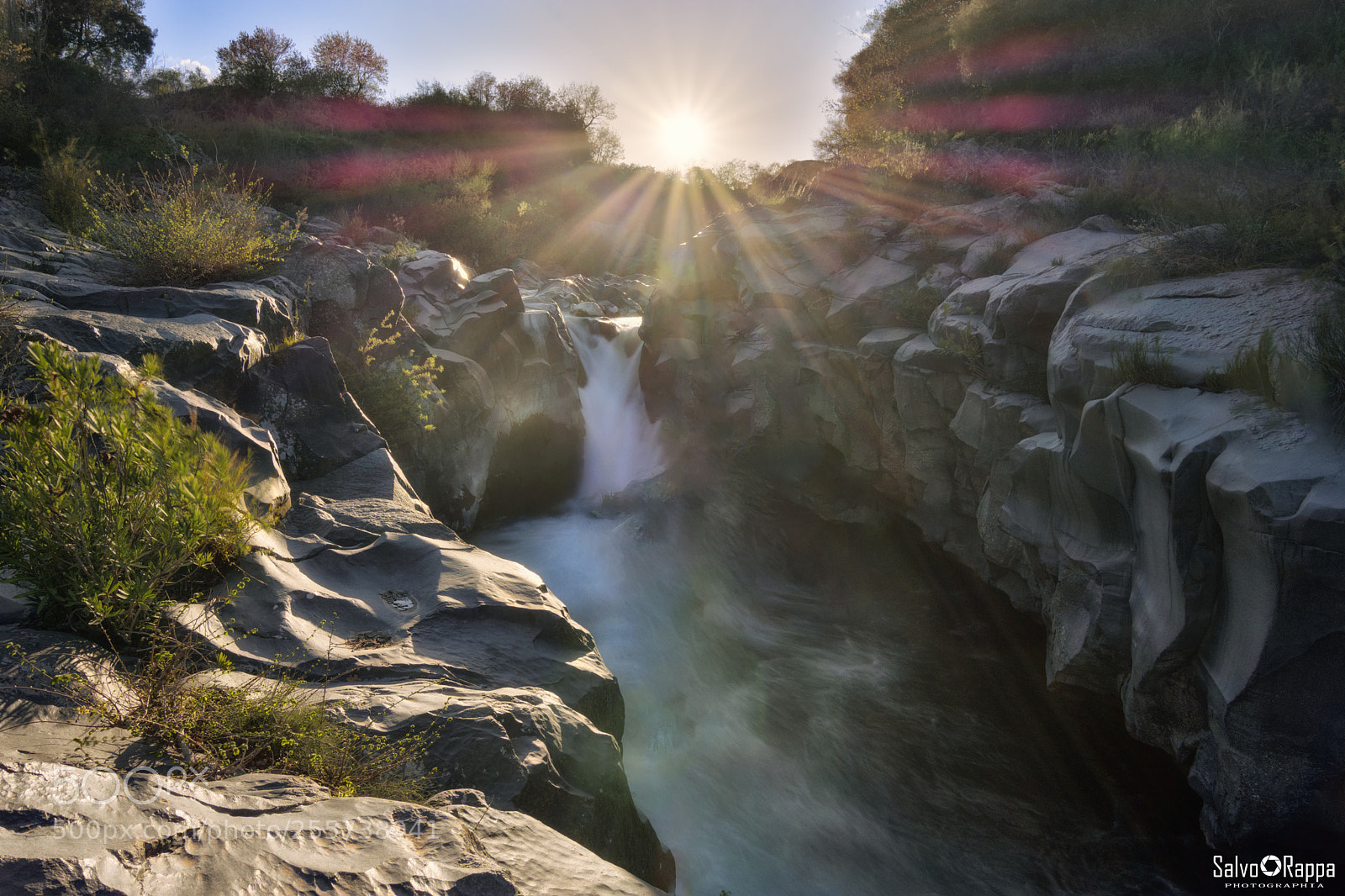 Nikon D7200 sample photo. Out of the rays photography