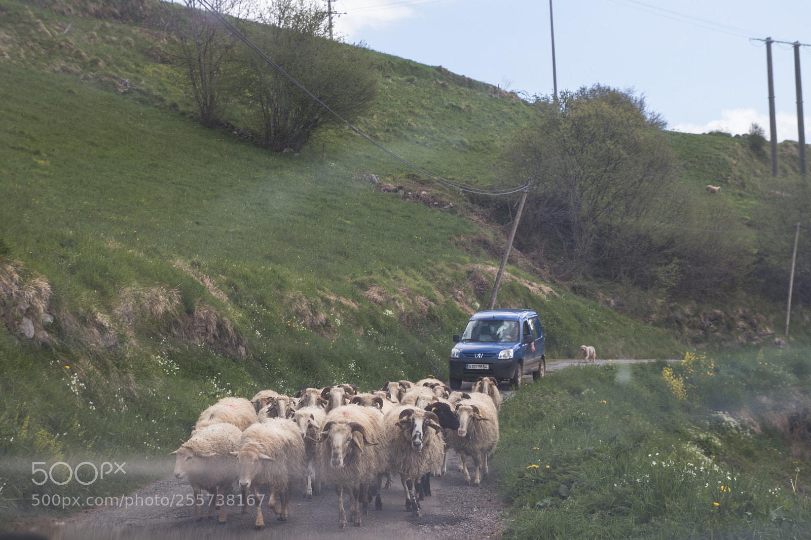 Canon EOS 80D sample photo. Cortège photography