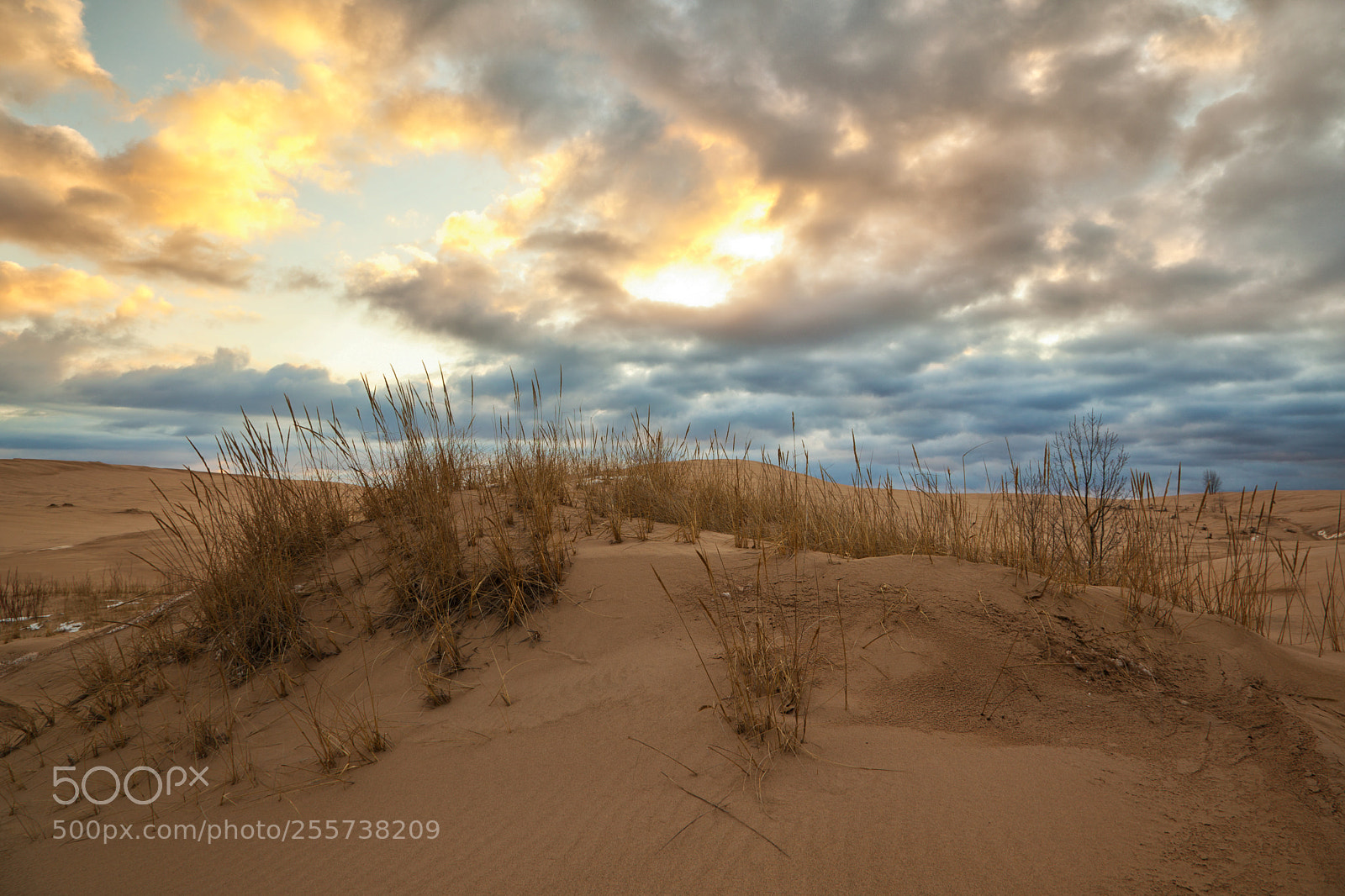 Canon EOS 5D Mark II sample photo. Grassy dune under a photography