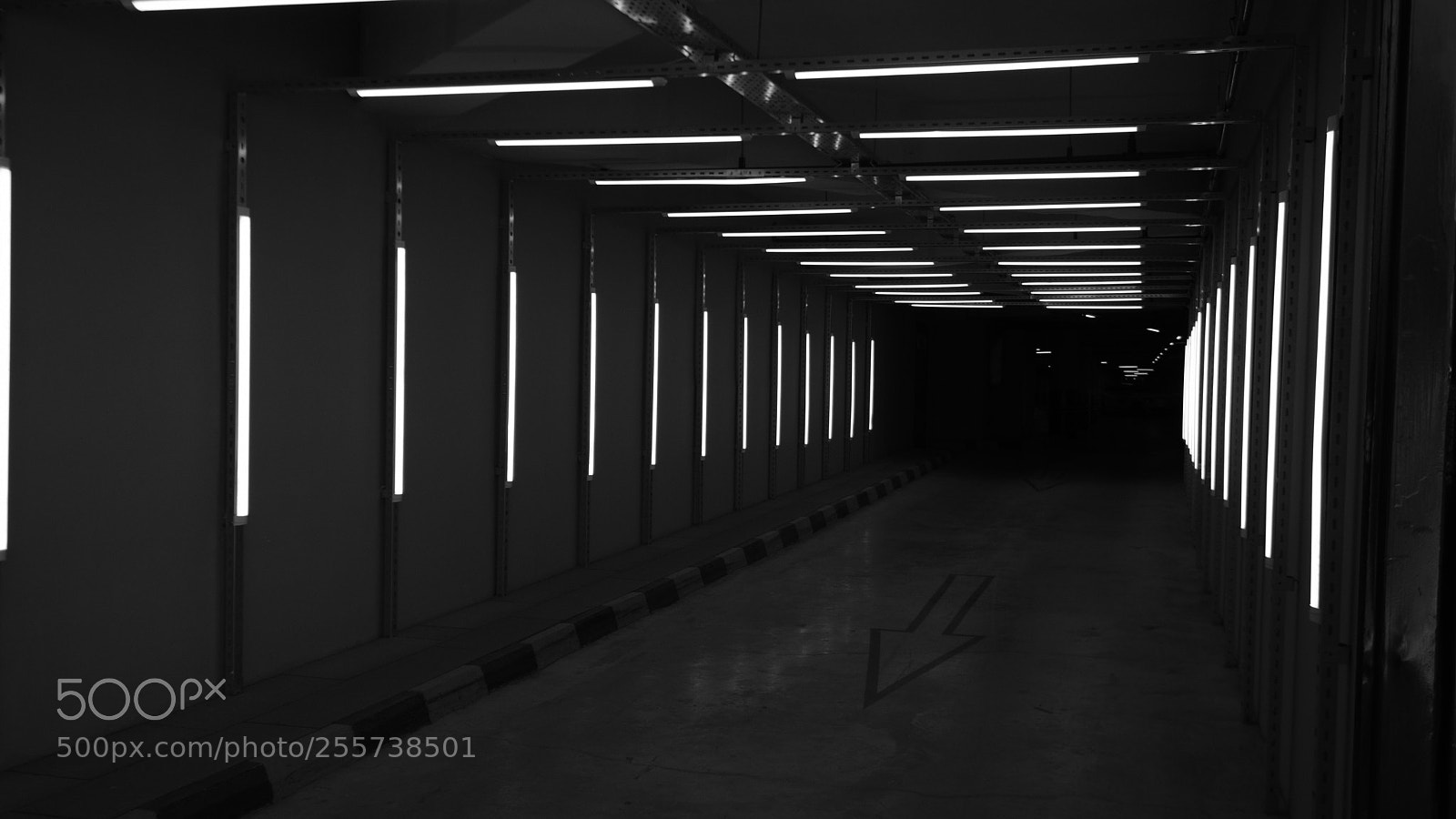 Fujifilm X-T2 sample photo. Untitled photography