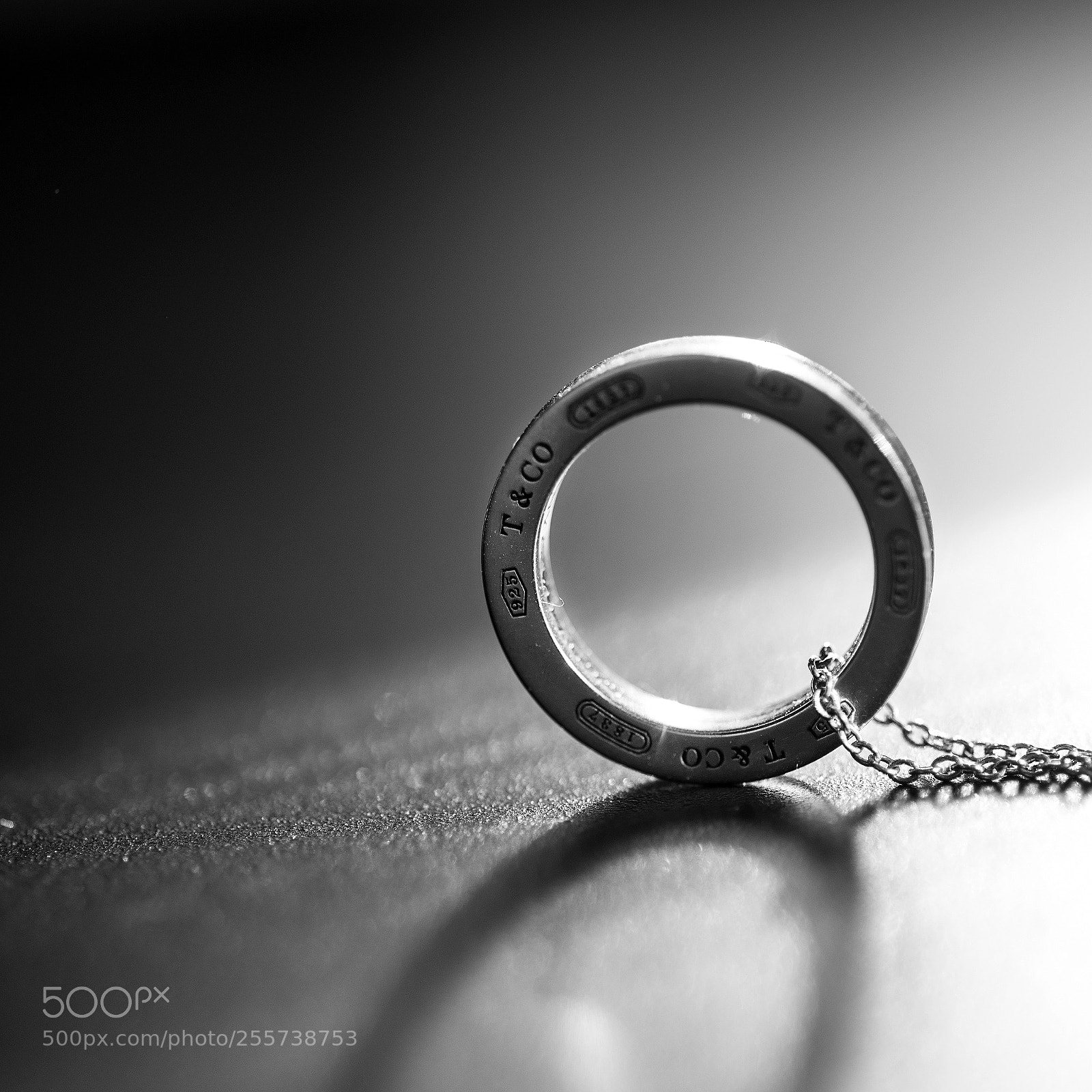 Nikon D610 sample photo. Circle photography