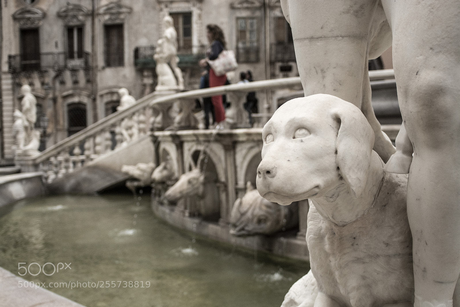 Nikon D7100 sample photo. Piazza pretoria palermo particolare photography