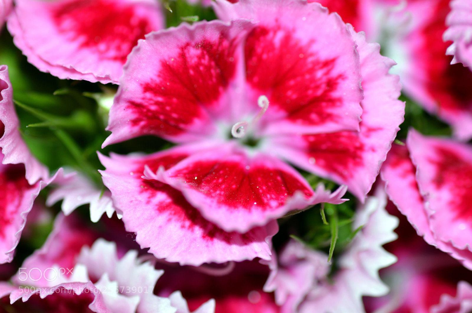 Nikon D3200 sample photo. Natural  color photography