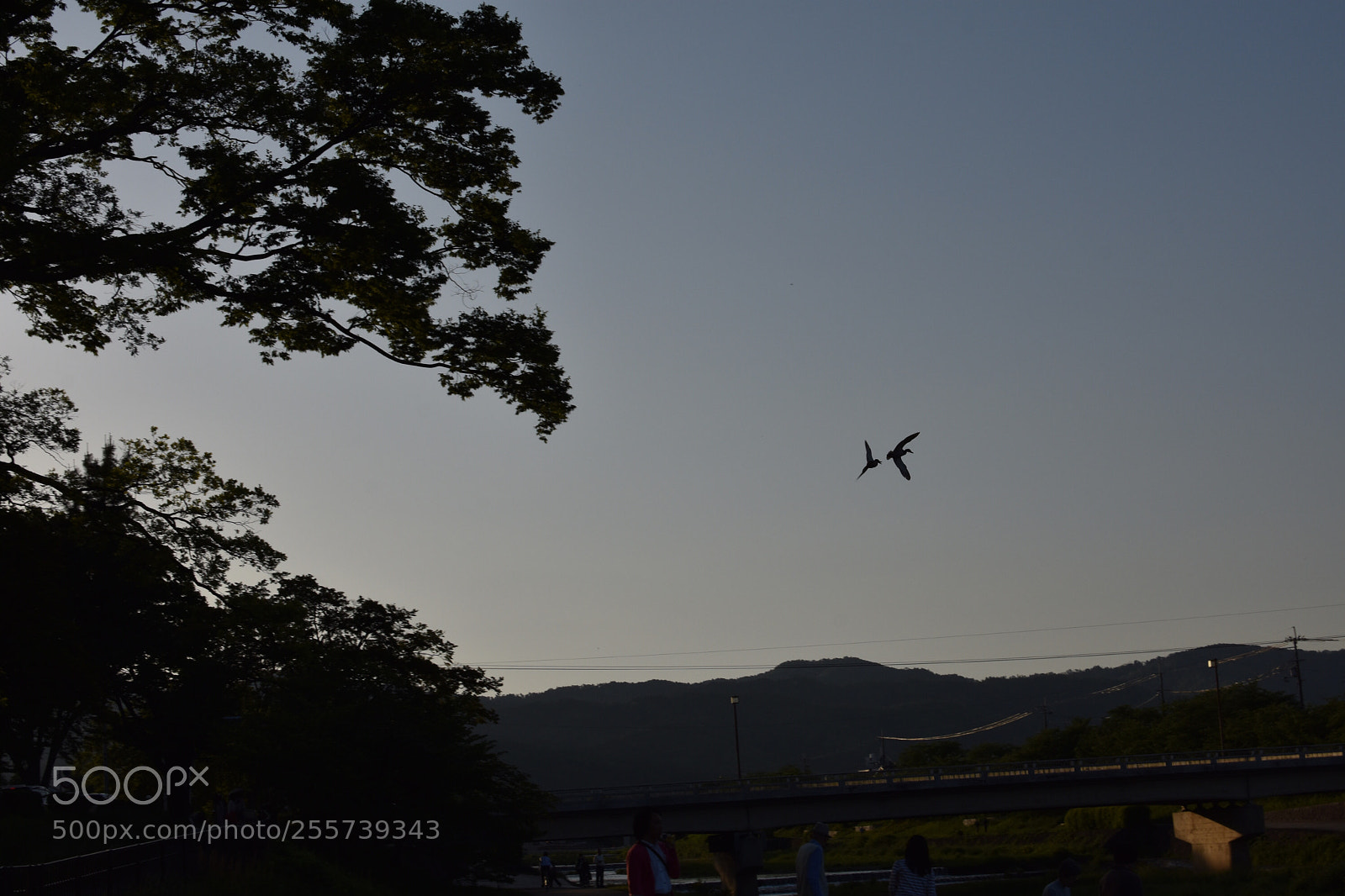 Nikon D3400 sample photo. Untitled photography