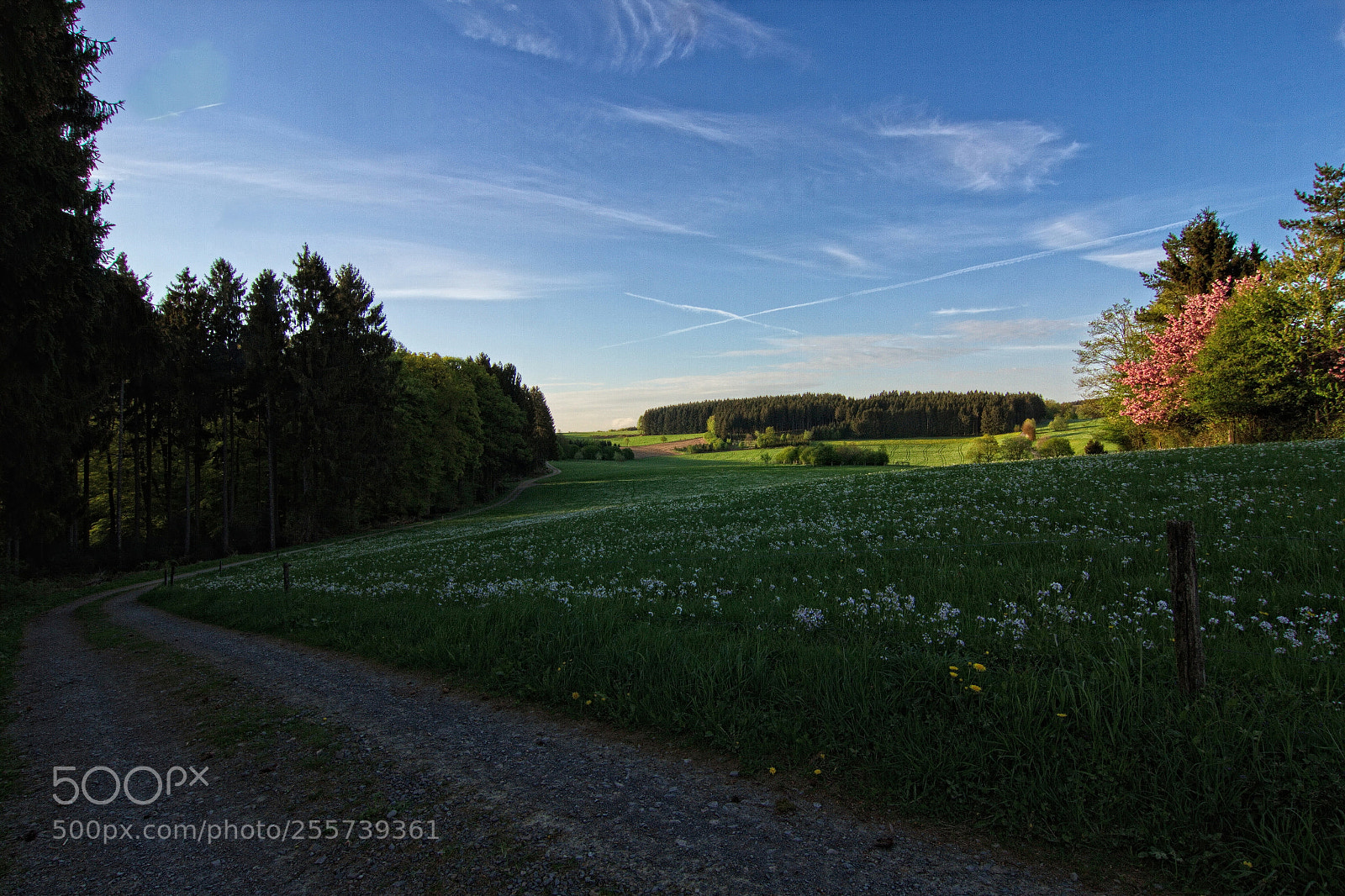Canon EOS 7D sample photo. Springtime photography