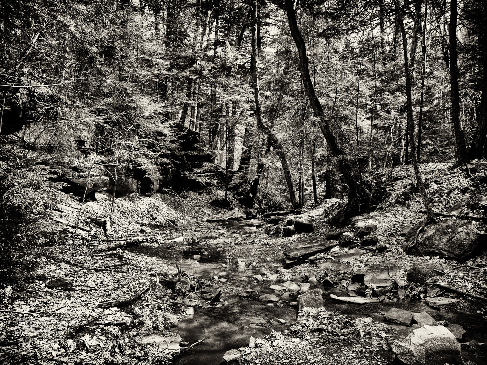 Olympus OM-D E-M1 sample photo. Top of the falls photography