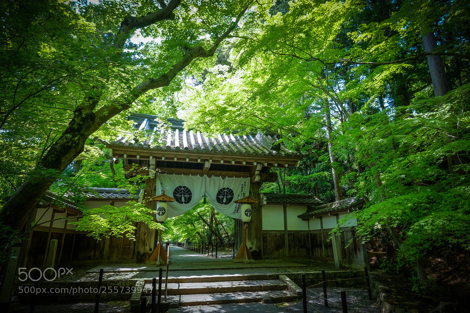 Fujifilm X-T1 sample photo. Img photography