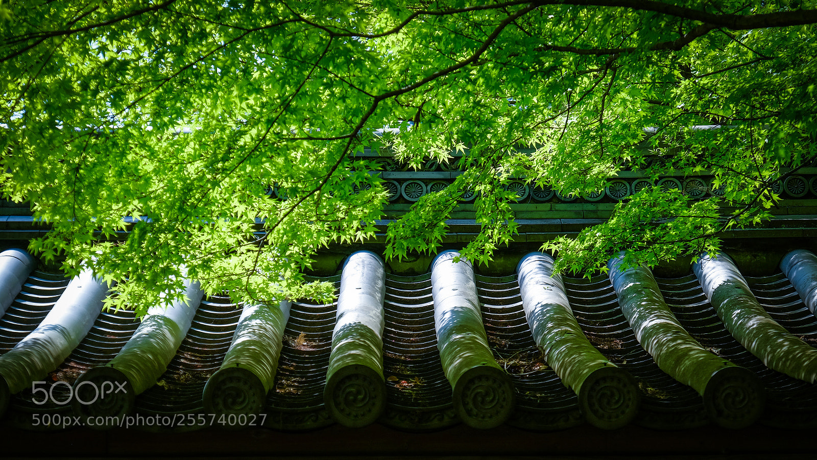 Fujifilm X-T1 sample photo. Img photography