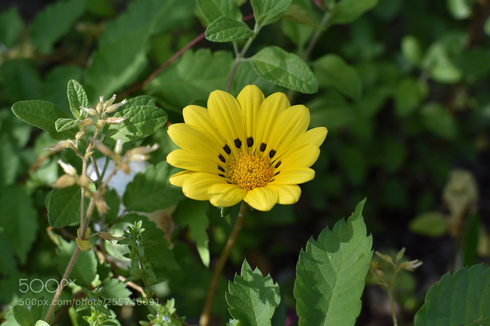 Nikon D3400 sample photo. Untitled photography