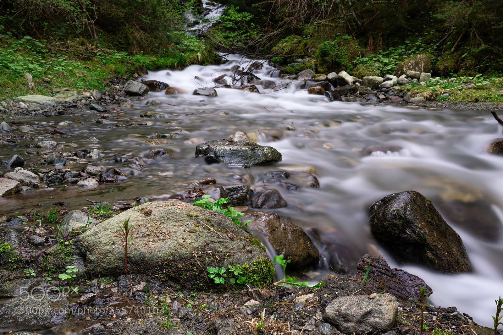 Canon EOS 5D Mark IV sample photo. Silence photography