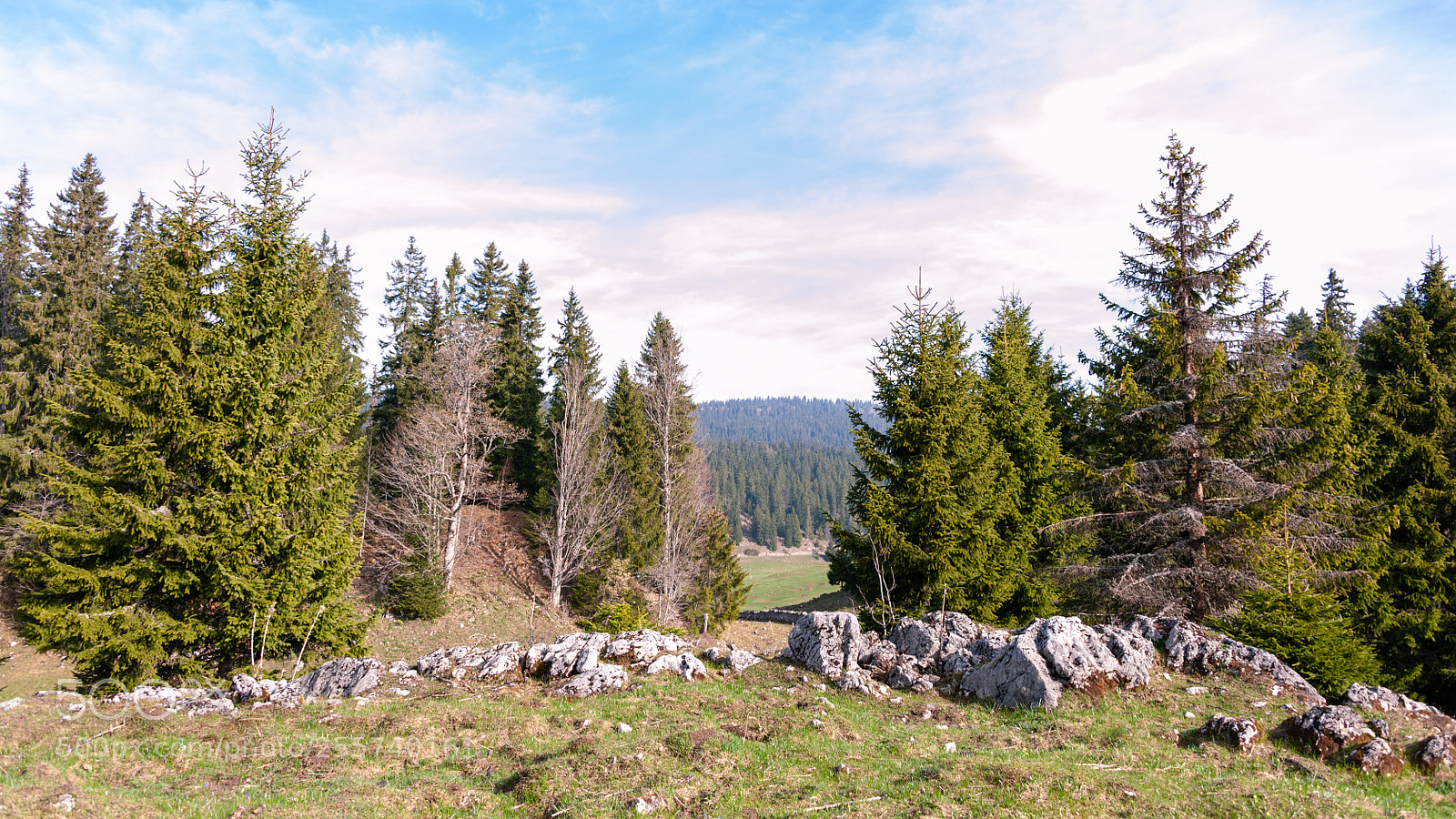 Nikon D700 sample photo. Le jura photography