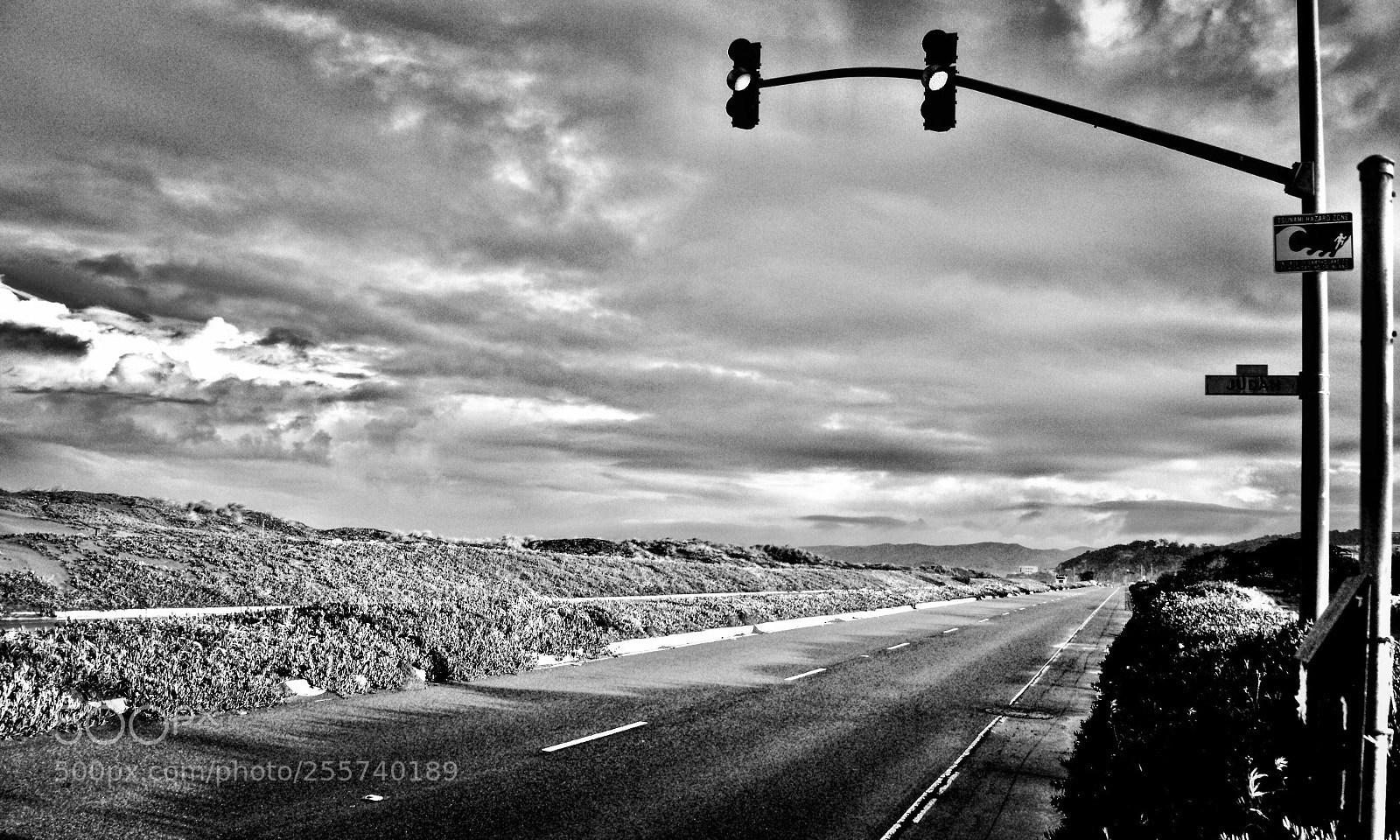 Nikon D5100 sample photo. Heading north  photography